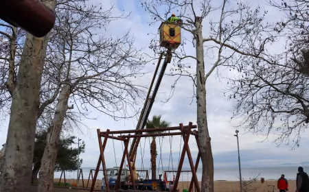 Gazi Paşa Caddesi’nde Budama Devam Ediyor