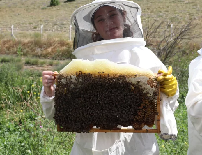 Arıköy Kayıtları Başlıyor