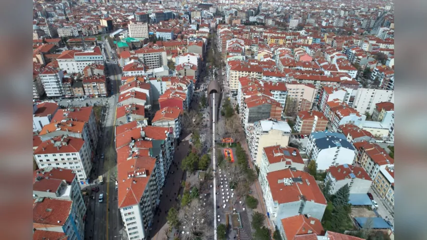 Hamamyolu Caddesi’nde Ağaç Budama Çalışmaları Başlıyor