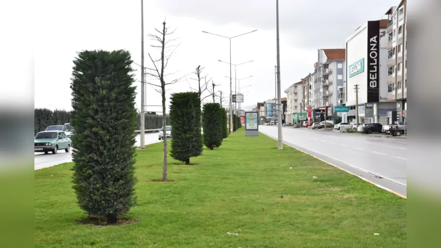 Balıkesir Büyükşehir Belediyesi’nden 20 İlçeye “Çiçek Gibi” Hizmet