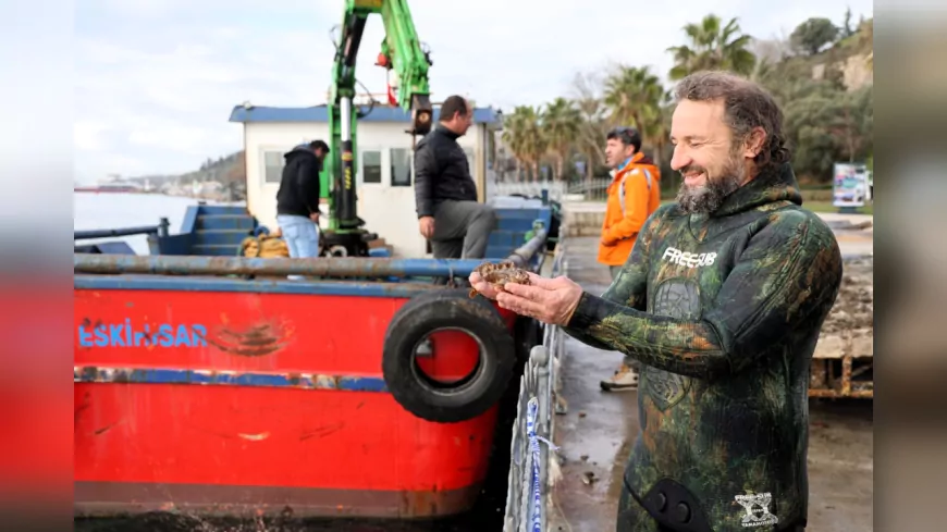 Eskihisar Sahili’nde Dip Temizliği Yapıldı