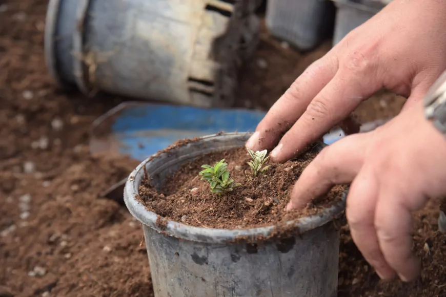 Bilecik’te Bahara Hazırlık Başladı