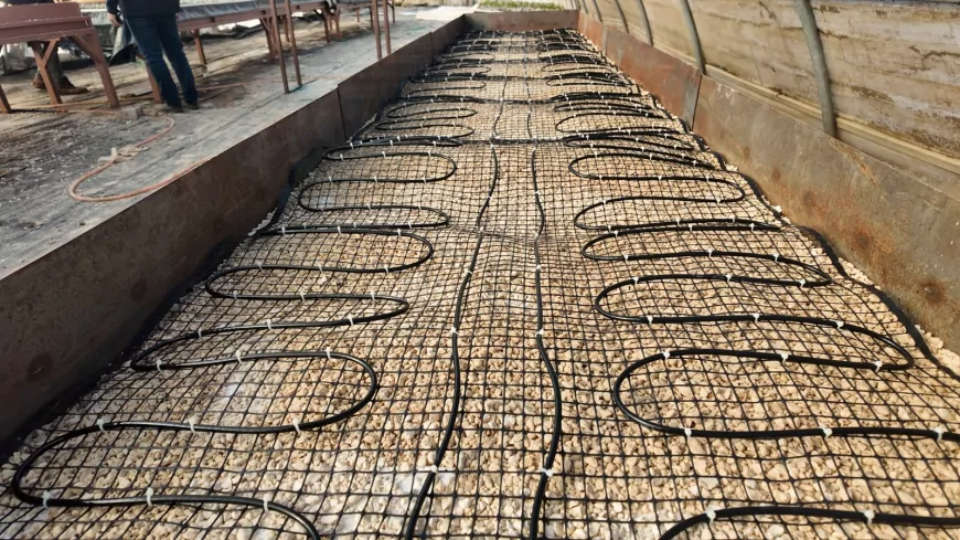 ŞANLIURFA’DA MODERN SERALARDA 30 BİN FİDAN ÜRETİMİ BAŞLADI