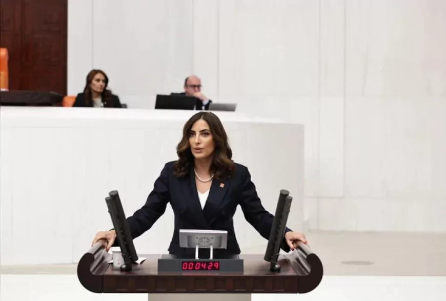 CHP Genel Başkan Yardımcısı Evrim Rızvanoğlu: “Milli parklar rant alanı değil, ülkenin ekolojik güvenlik altyapısıdır”