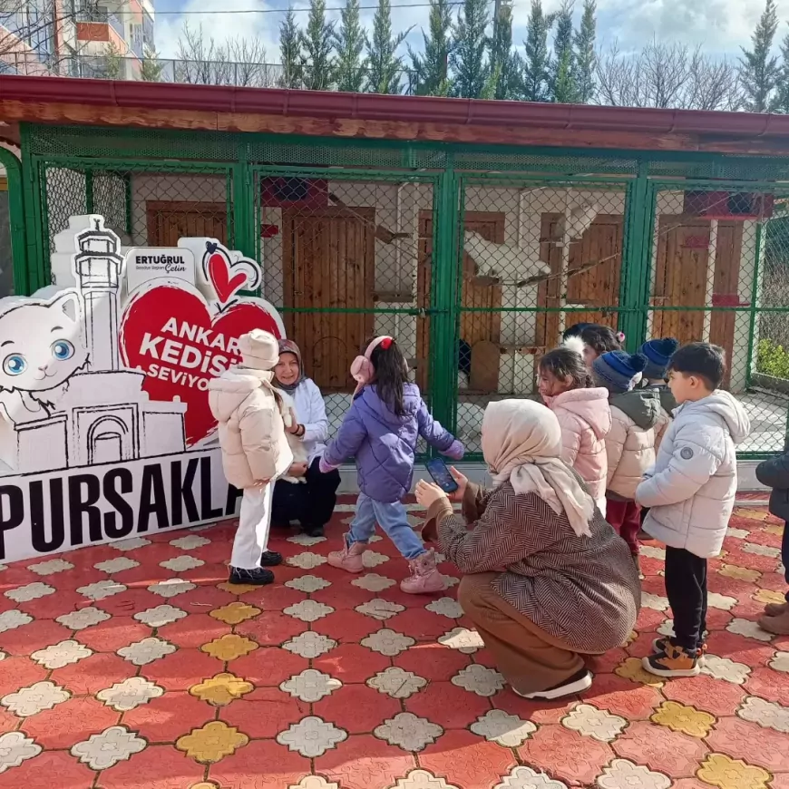 Pursaklar’da Minik Öğrencilerden Kedi Evine Sevgi Dolu Ziyaret
