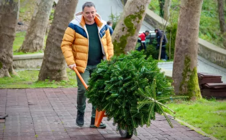 Giresun Kalesi’nde Ağaçlandırma Çalışması: Çam, Ihlamur ve Pavlonya Dikiliyor