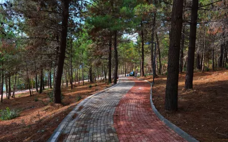 Sakarya’da Bir İlk: 23 Nisan Halk Koşusu 5 Nisan’da Huzur Koridoru’nda Koşulacak