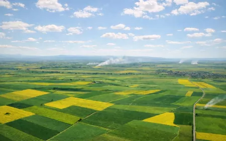 Alpu Ovası İçin Mahkemeden Tarım Arazilerini Koruyan Karar