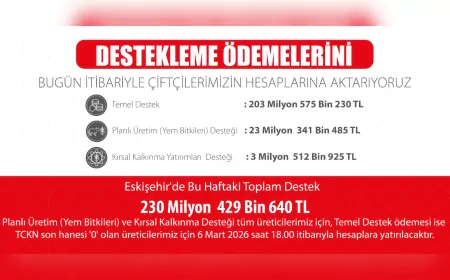 230 Milyon Liralık Tarımsal Destek Ödemesi Çiftçilerin Hesaplarına Aktarılıyor