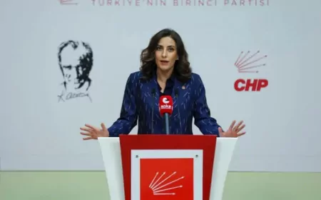 CHP Genel Başkan Yardımcısı Evrim Rızvanoğlu Muş Varto’daki 16 köyü etkileyecek jeotermal arama projesini Meclis gündemine taşıdı