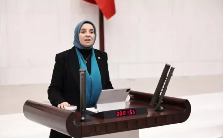 DEVA Partisi Genel Başkan Yardımcısı Elif Esen: “Doğayı korumanın finansmanı doğayı tüketen bir modele dönüşmemeli”