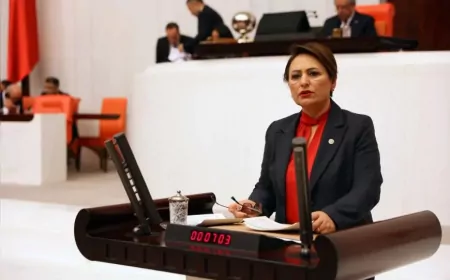 TBMM Başkanlık Divanı Üyesi CHP Adana Milletvekili Dr. Müzeyyen Şevkin: “Kadınlar öldürülmesin” diyerek Meclis’e araştırma önergesi sundu