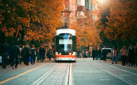 Bayramda Tramvay Ve Otobüsler Ücretsiz Olacak