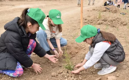 Orman Haftası Etkinlikleri 24 Mart’ta Kutlanacak