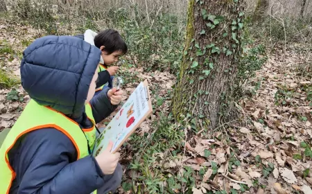 Lokomotif’in Minikleri Ormanya’da Doğayı Keşfetti