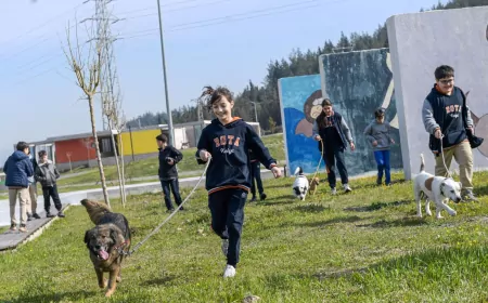 İzmir’de 2 Bin 300 Patili Dost Yuva Bekliyor