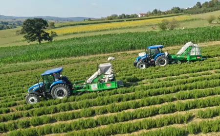 Kocaeli’nde Kırsal Üretime 1,4 Milyar TL’lik Dev Destek