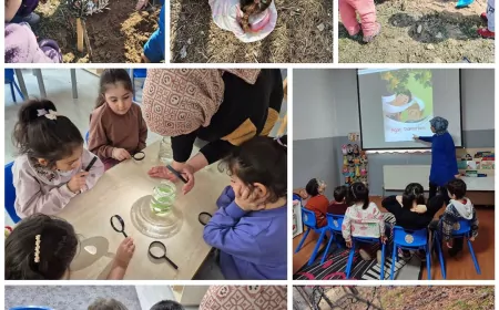 Orman Haftası’nda Çevre Bilinci Vurgusu