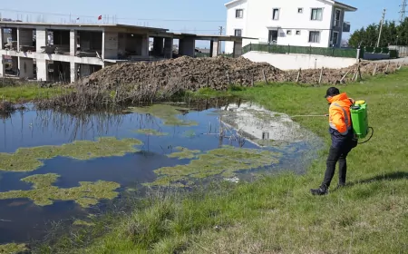 Yalova’da Sivrisinek Ve Karasinekle Mücadele Sürüyor