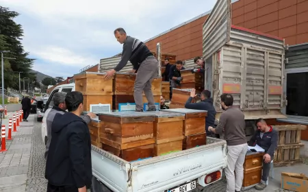 Arıcılık Bursa’da Büyükşehir’le Canlandı