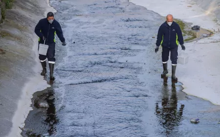 Mevsimsel Sinekler Zararsız: Büyükşehir’den Vatandaşa Uyarı