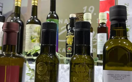 Dorlion Zeytinyağına Premium Ödül: Eskişehir’den Büyük BaşarıDorlion Zeytinyağına Premium Ödül: Eskişehir’den Büyük Başarı