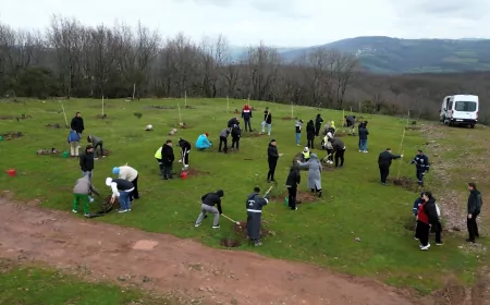 Kocaeli’de Orman Haftası Etkinliği: Fidanlar Engelsiz Yaşam İçin Dikildi