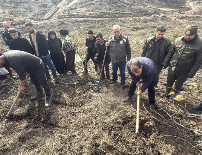 Seyitgazi’de Yangın Sonrası Ağaçlandırma Başladı