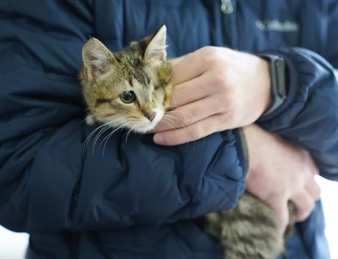 Tepebaşı Belediyesi Patili Canlara Hem Yuva Oldu Hem Yuva Buldu