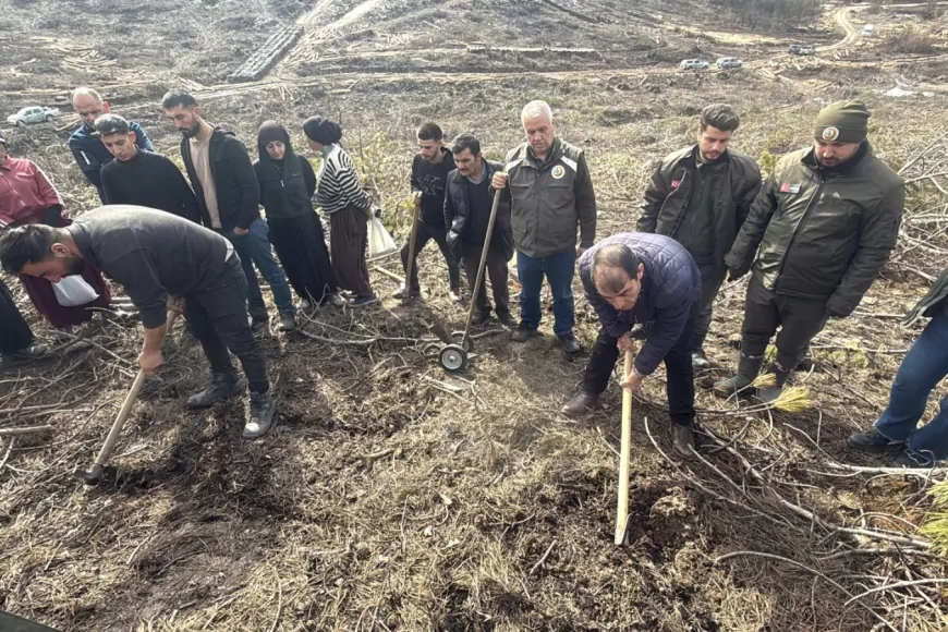 Seyitgazi’de Yangın Sonrası Ağaçlandırma Başladı