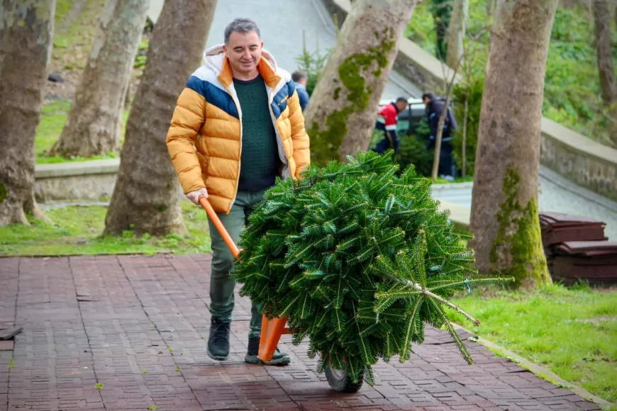 Giresun Kalesi’nde Ağaçlandırma Çalışması: Çam, Ihlamur ve Pavlonya Dikiliyor