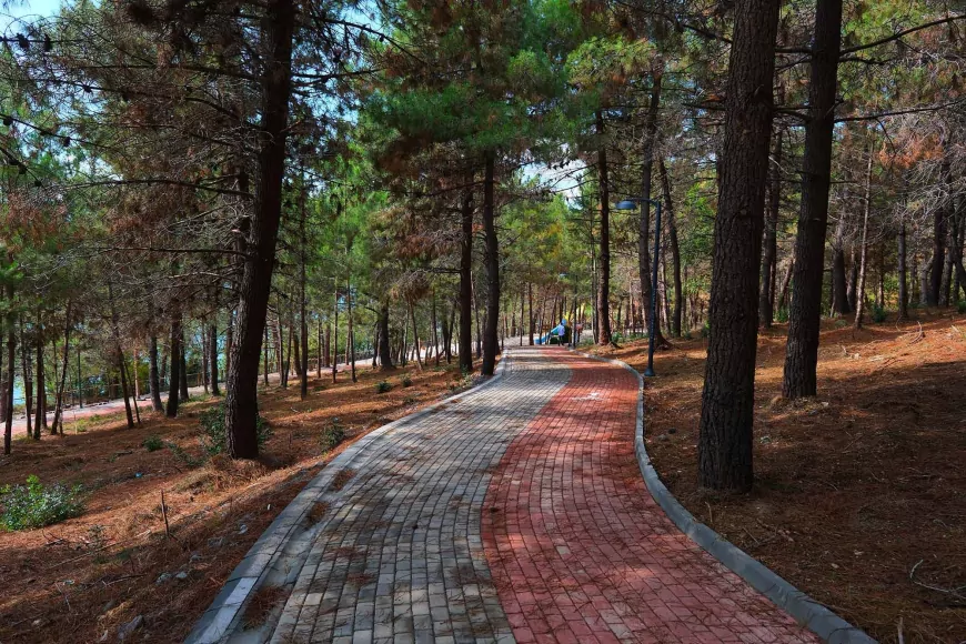 Sakarya’da Bir İlk: 23 Nisan Halk Koşusu 5 Nisan’da Huzur Koridoru’nda Koşulacak