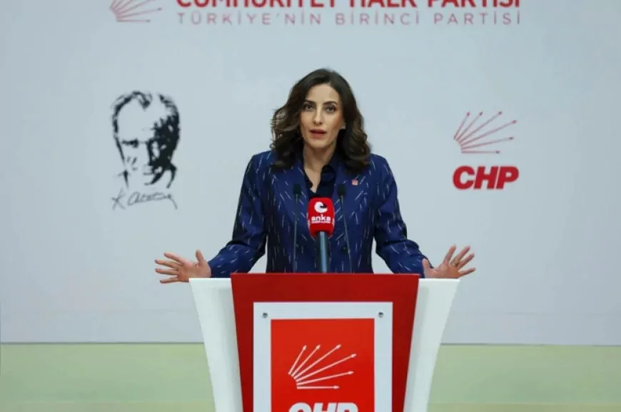 CHP Genel Başkan Yardımcısı Evrim Rızvanoğlu Muş Varto’daki 16 köyü etkileyecek jeotermal arama projesini Meclis gündemine taşıdı