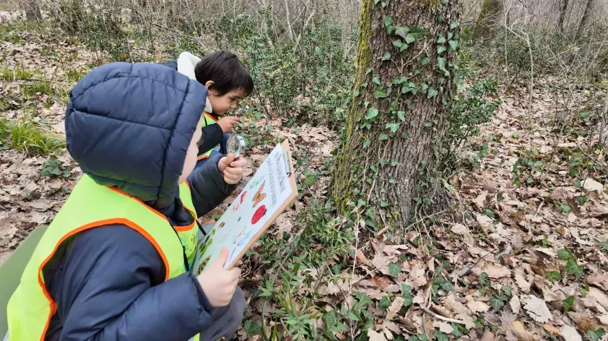 Lokomotif’in Minikleri Ormanya’da Doğayı Keşfetti