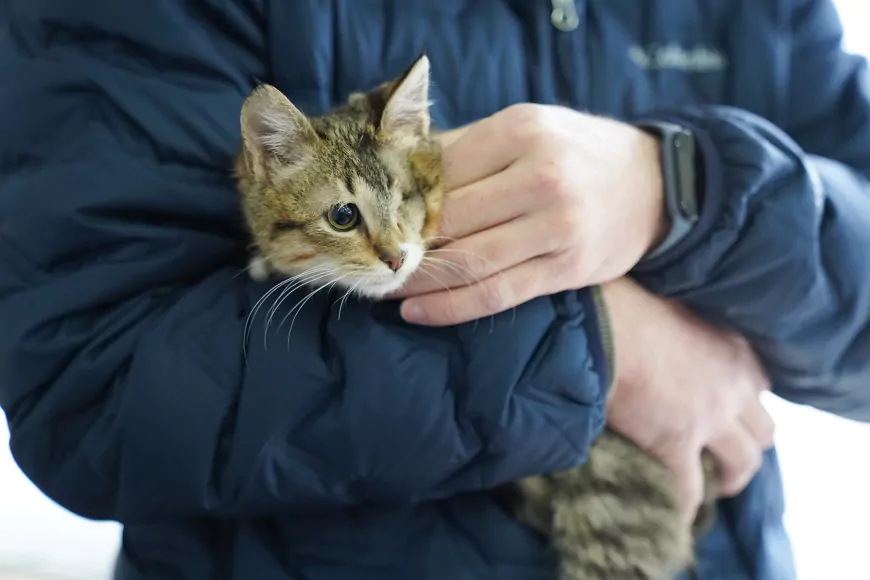 Tepebaşı Belediyesi Patili Canlara Hem Yuva Oldu Hem Yuva Buldu