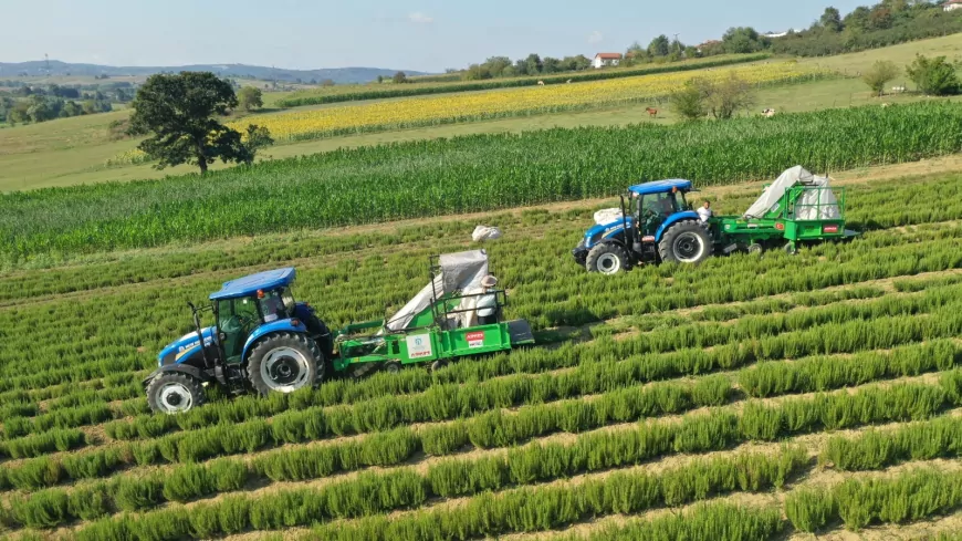 Kocaeli’nde Kırsal Üretime 1,4 Milyar TL’lik Dev Destek