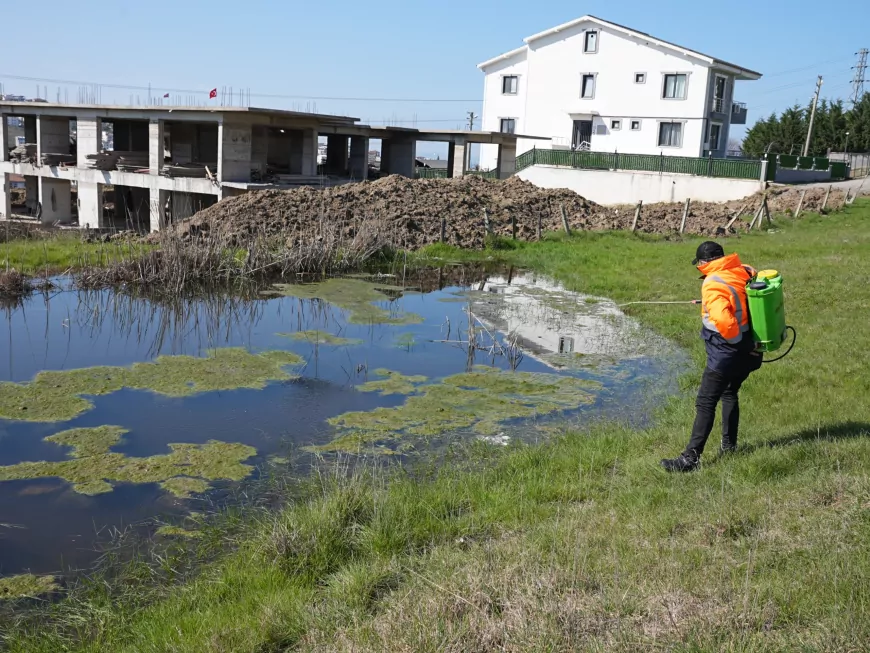 Yalova’da Sivrisinek Ve Karasinekle Mücadele Sürüyor