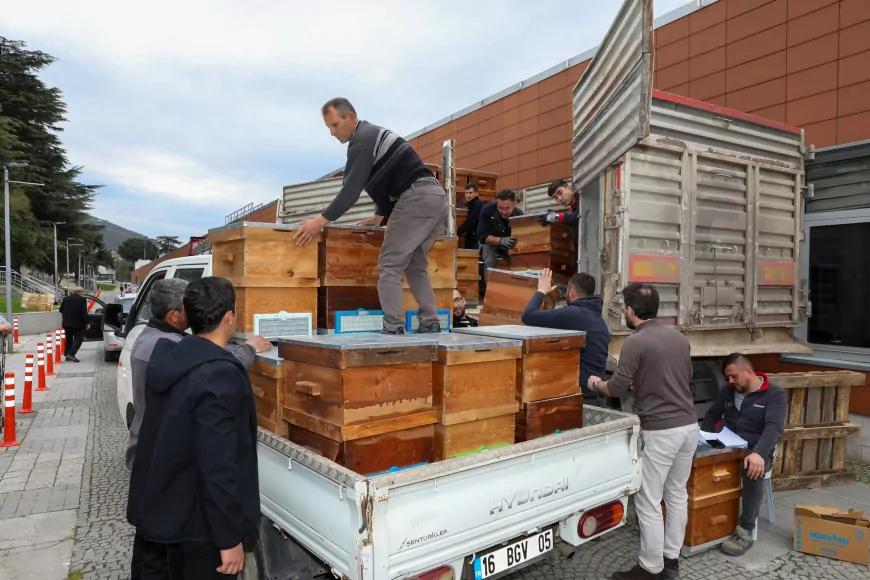 Arıcılık Bursa’da Büyükşehir’le Canlandı