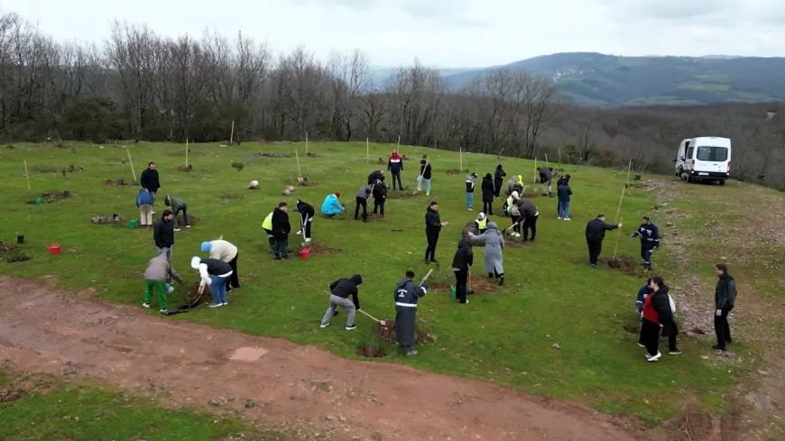 Kocaeli’de Orman Haftası Etkinliği: Fidanlar Engelsiz Yaşam İçin Dikildi