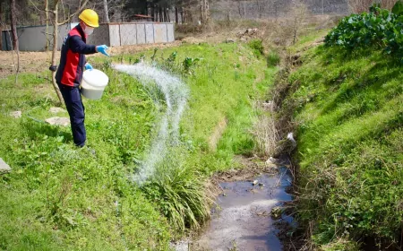 Giresun’da ilaçlama seferberliği: Zararlıların üreme alanları hedef alındı