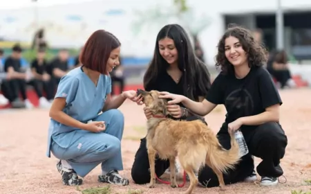 İzmir Büyükşehir Belediyesi: Son iki yılda 3 bin 300 hayvan sahiplendirildi