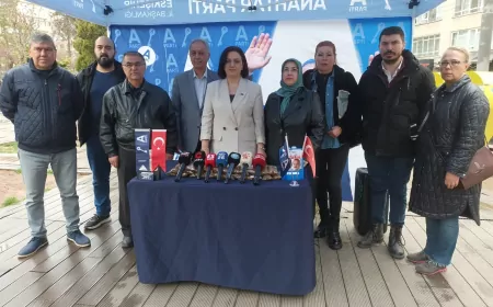Anahtar Partili Küçük: “Sokak hayvanları için planlı ve bilimsel politikalar şart”