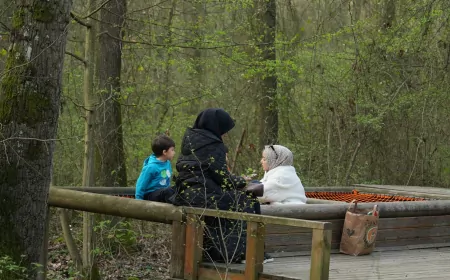 Eşsiz Doğada Kitaplara Yolculuk: Orman Kütüphanesi’nde Okuma Keyfi Bambaşka