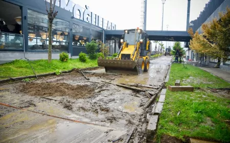 Başkan Köse Talimat Verdi, Plajlar Bölgesine Neşter Vuruldu
