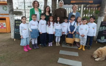 Anaokulunda Topraksız Tarım Projesiyle İlk Hasat Heyecanı