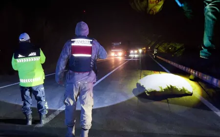 Van Ve Hakkari’de 446 Kilogram Uyuşturucu Ele Geçirildi