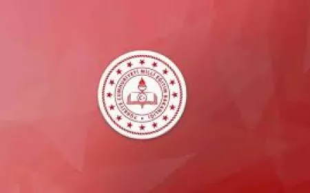 Eğitimde Bu Hafta: Yeni Projeler ve Etkinlikler