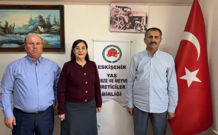 CHP’li Jale Nur Süllü’den Hobi Bahçesi Düzenlemesine Tepki: “Geri Çekilmeli”