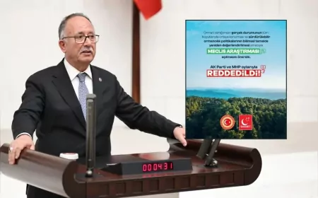 SAADET PARTİSİ ANTALYA MİLLETVEKİLİ ŞERAFETTİN KILIÇ: “BU MESELE SADECE AĞAÇ DEĞİL GELECEK NESİLLERİN HAKKIDIR”
