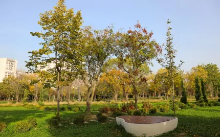 Ayamama Yaşam Vadisi Avrupa Finalinde